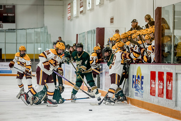 Chisago vs Forest Lake Varsity Hockey 436