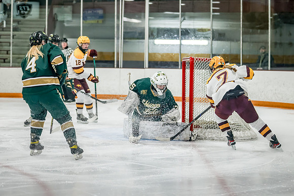 Chisago vs Forest Lake Varsity Hockey 388