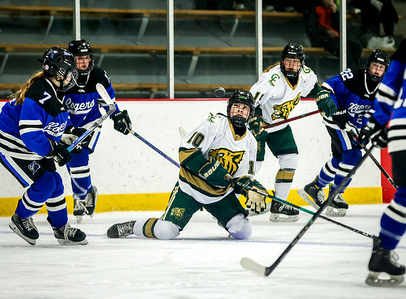 Chisago vs Rogers Varsity Hockey 179