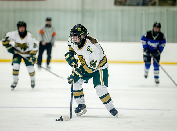 Chisago vs Rogers JV Hockey 213