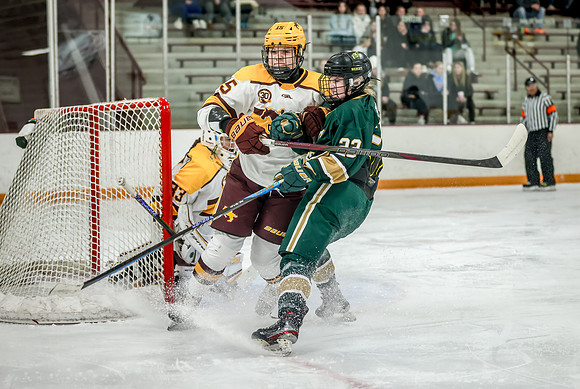 Chisago vs Forest Lake Varsity Hockey 148