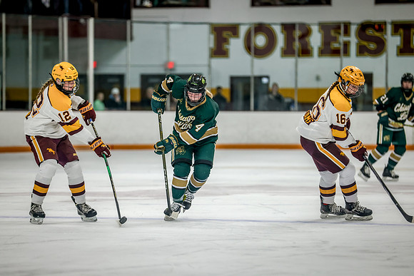 Chisago vs Forest Lake Varsity Hockey 227