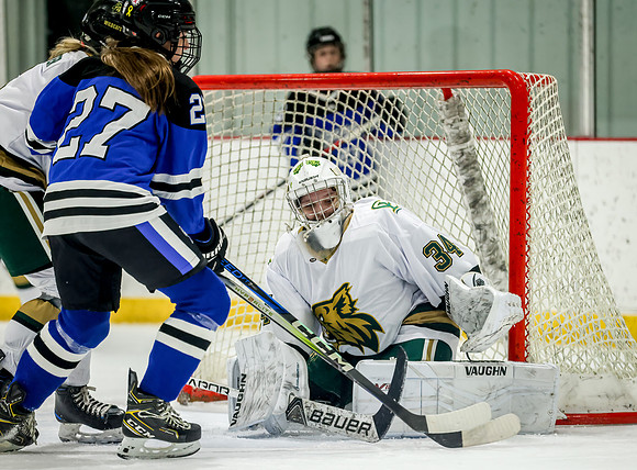 Chisago vs Rogers JV Hockey 201