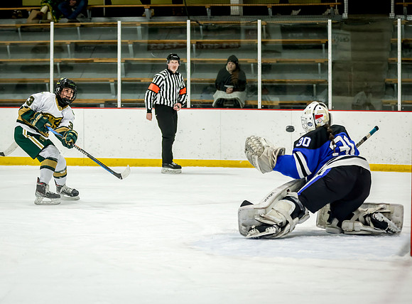 Chisago vs Rogers JV Hockey 230