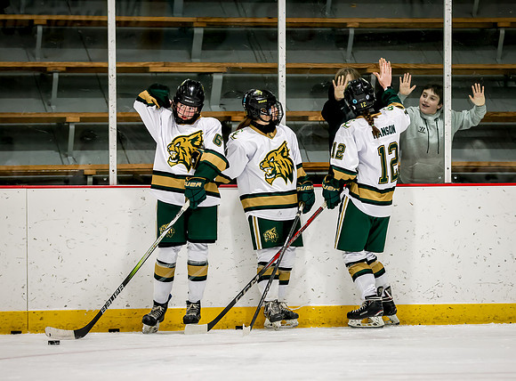 Chisago vs Rogers Varsity Hockey 18