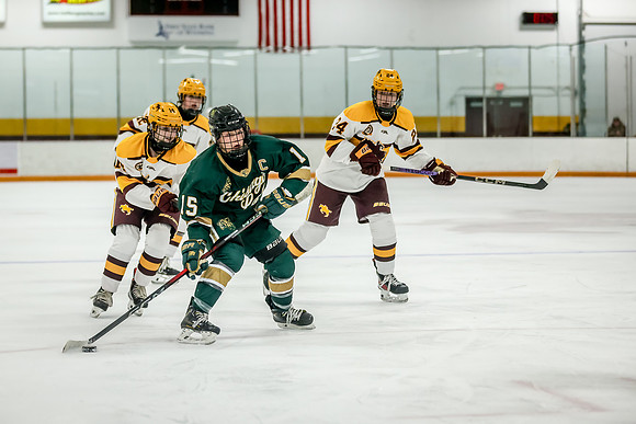 Chisago vs Forest Lake Varsity Hockey 314