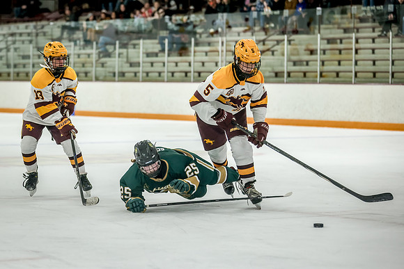 Chisago vs Forest Lake JV Hockey 146
