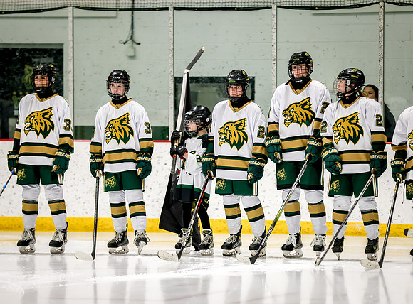Chisago vs Rogers Varsity Hockey 72