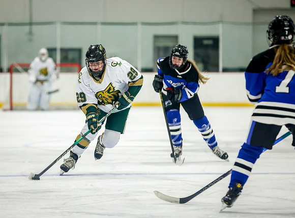 Chisago vs Rogers JV Hockey 86