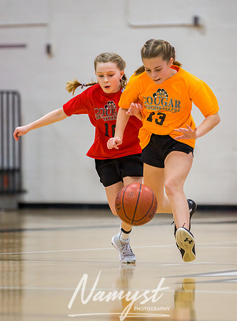 Centennial Basketball Association 136
