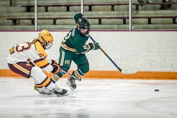 Chisago vs Forest Lake Varsity Hockey 248