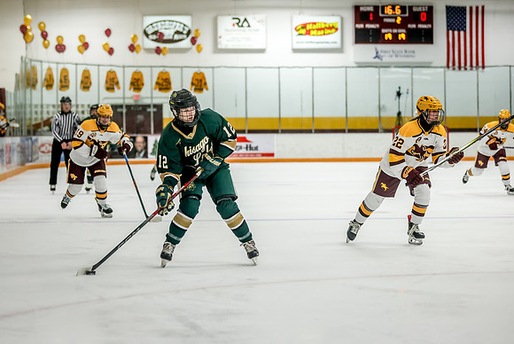 Chisago vs Forest Lake Varsity Hockey 322