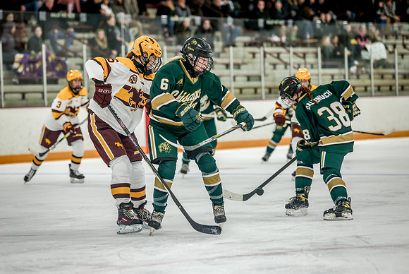 Chisago vs Forest Lake Varsity Hockey 441