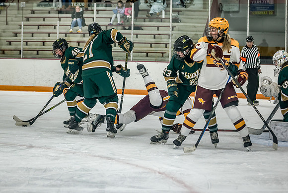 Chisago vs Forest Lake Varsity Hockey 423