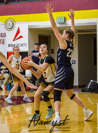 Forest Lake Girls 7 Maroon Basketball 185