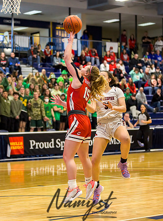 Centennial vs Shakopee Girls Basketball - State Tournament 084