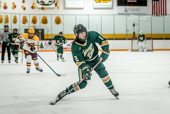 Chisago vs Forest Lake Varsity Hockey 325