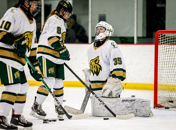 Chisago vs Rogers Varsity Hockey 10