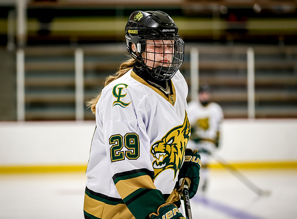 Chisago vs Rogers JV Hockey 14