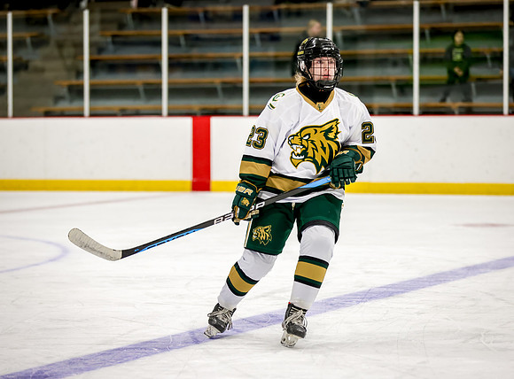 Chisago vs Rogers Varsity Hockey 13