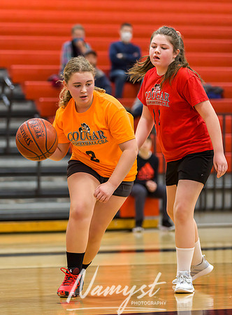 Centennial Basketball Association 141
