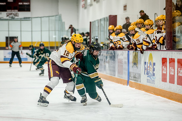 Chisago vs Forest Lake Varsity Hockey 183