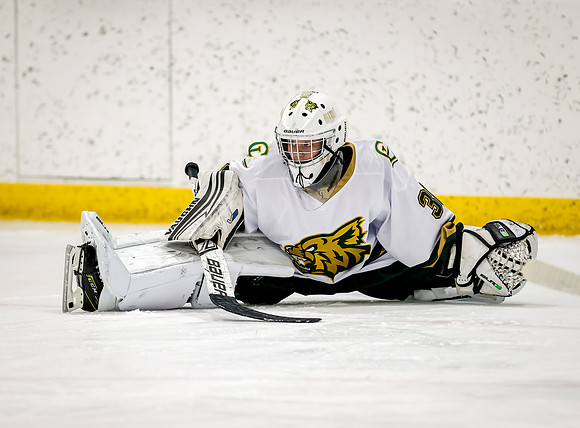 Chisago vs Rogers Varsity Hockey 7