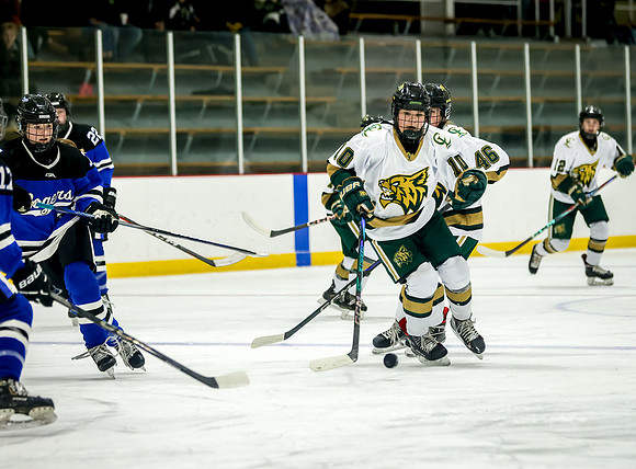 Chisago vs Rogers Varsity Hockey 186