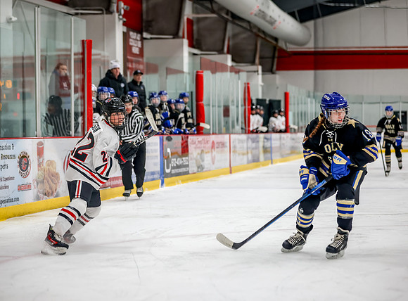 Centennial vs Holy Angels JV Hockey 49