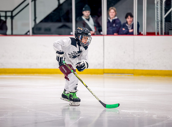 Chisago vs Rogers Varsity Hockey 12