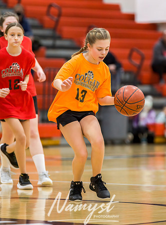 Centennial Basketball Association 124