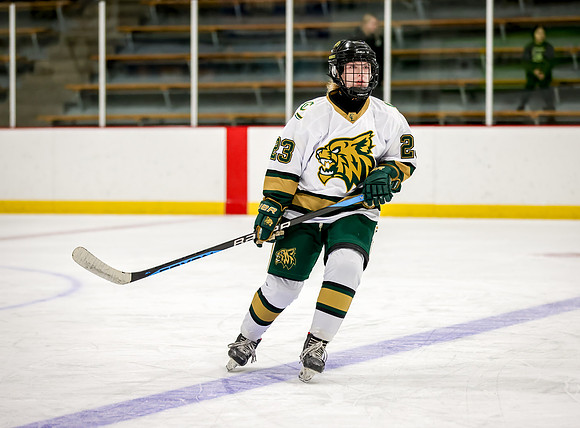 Chisago vs Rogers Varsity Hockey 12