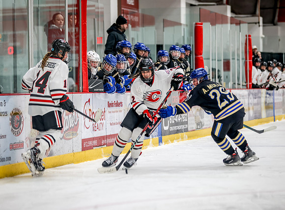 Centennial vs Holy Angels Varsity Hockey 51