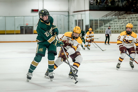 Chisago vs Forest Lake JV Hockey 155