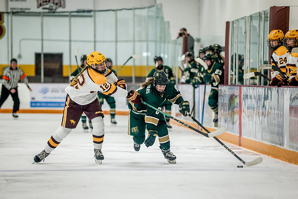 Chisago vs Forest Lake Varsity Hockey 179