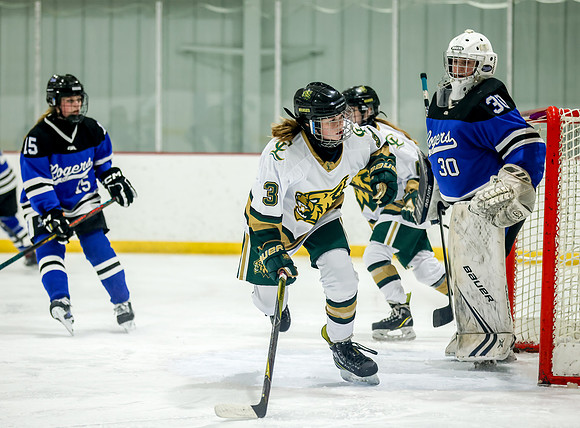 Chisago vs Rogers JV Hockey 349