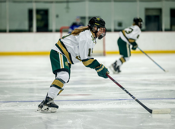 Chisago vs Rogers Varsity Hockey 261
