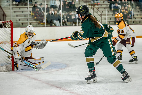 Chisago vs Forest Lake Varsity Hockey 233