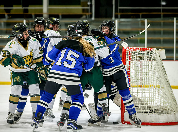 Chisago vs Rogers JV Hockey 298