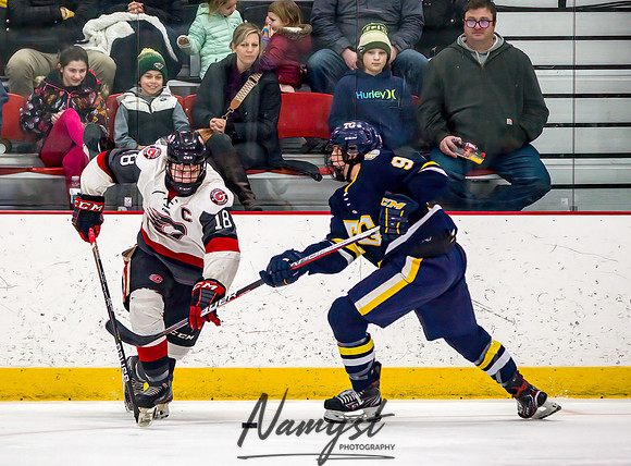 Centennial vs Totino-Grace Varsity Hockey 486