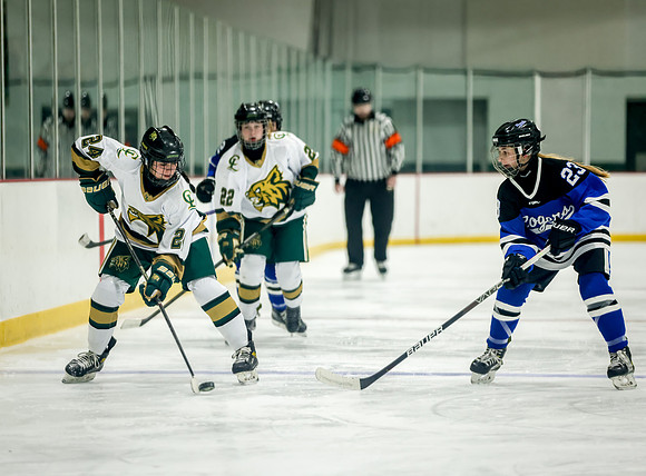 Chisago vs Rogers JV Hockey 65