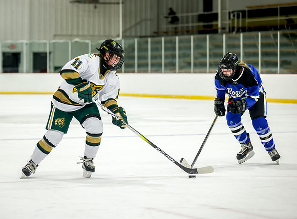 Chisago vs Rogers JV Hockey 259