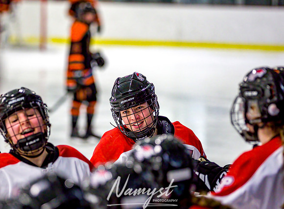 Centennial vs Osseo-Park Center Varsity Hockey 355