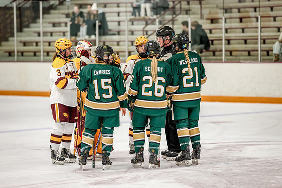 Chisago vs Forest Lake Varsity Hockey 64