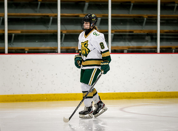 Chisago vs Rogers Varsity Hockey 87
