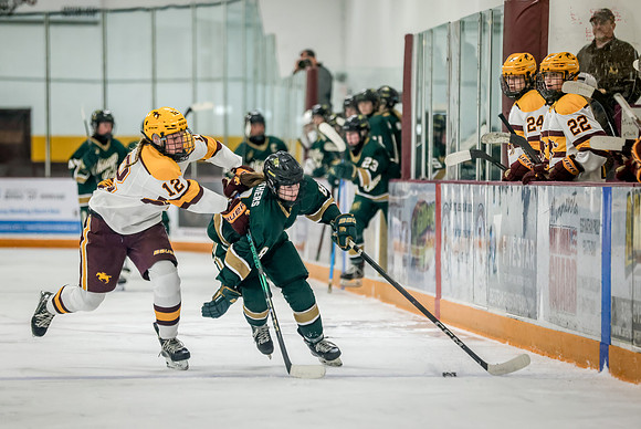 Chisago vs Forest Lake Varsity Hockey 180