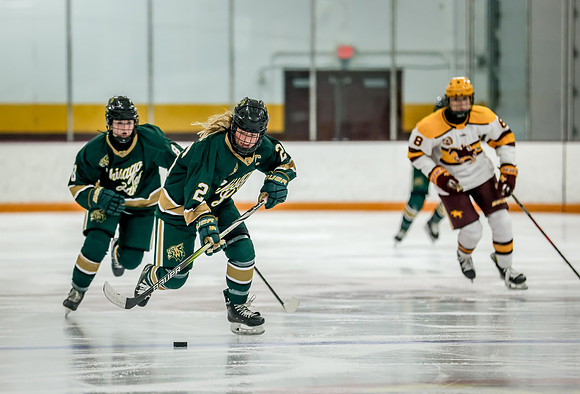 Chisago vs Forest Lake Varsity Hockey 245