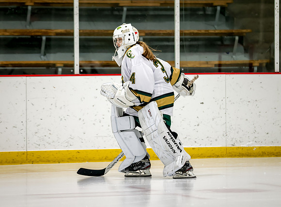 Chisago vs Rogers JV Hockey 3