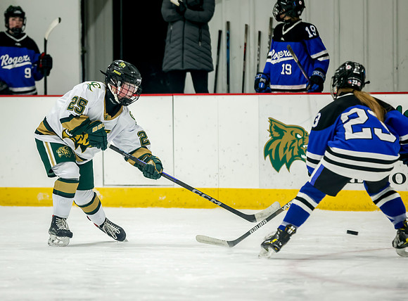 Chisago vs Rogers JV Hockey 362