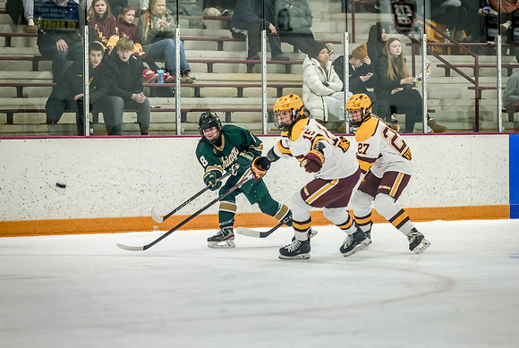 Chisago vs Forest Lake Varsity Hockey 206